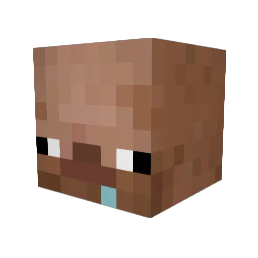 lastshelter Minecraft avatar head, 3D render