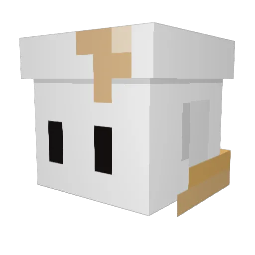 latte_joa Minecraft avatar head, 3D render