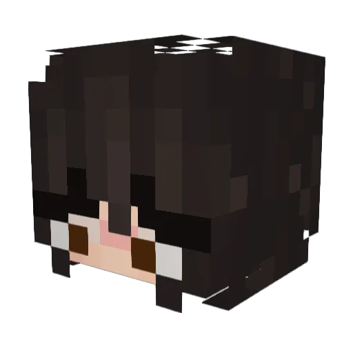 lattunesque Minecraft avatar head, 3D render