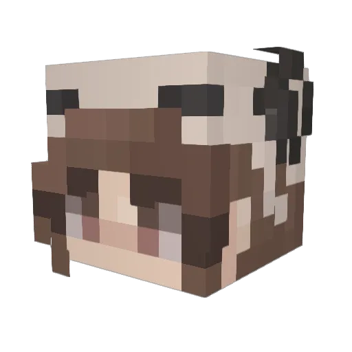 lau__XxA Minecraft avatar head, 3D render