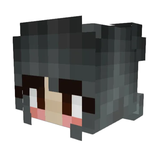 laudie Minecraft avatar head, 3D render