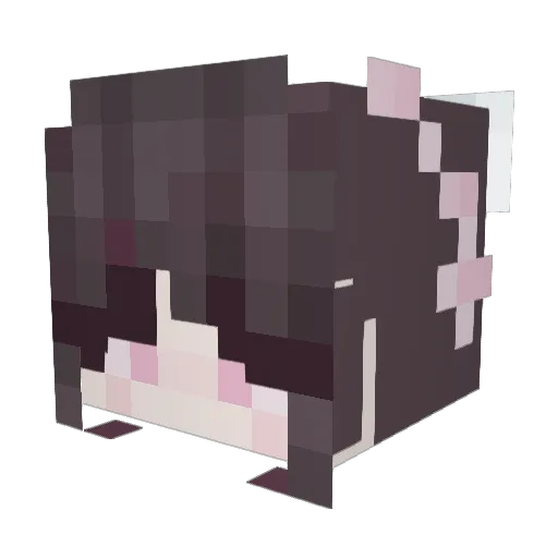 lauferii Minecraft avatar head, 3D render