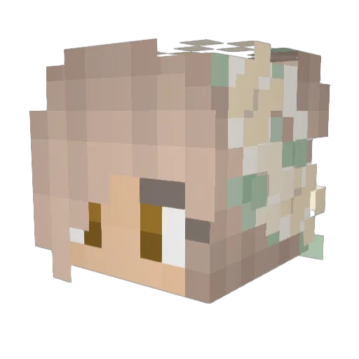 lauraa26 Minecraft avatar head, 3D render