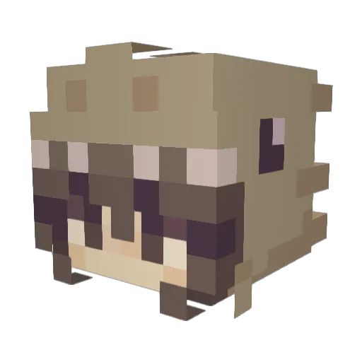 lauraaot Minecraft avatar head, 3D render