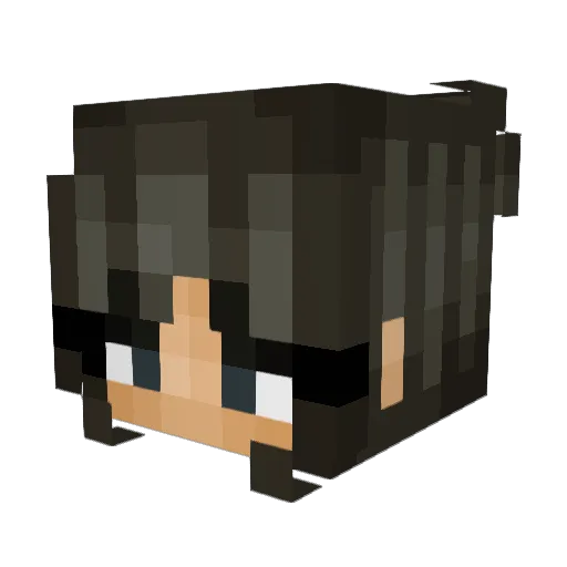 lauraotter Minecraft avatar head, 3D render