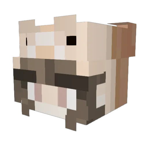 lauren677 Minecraft avatar head, 3D render