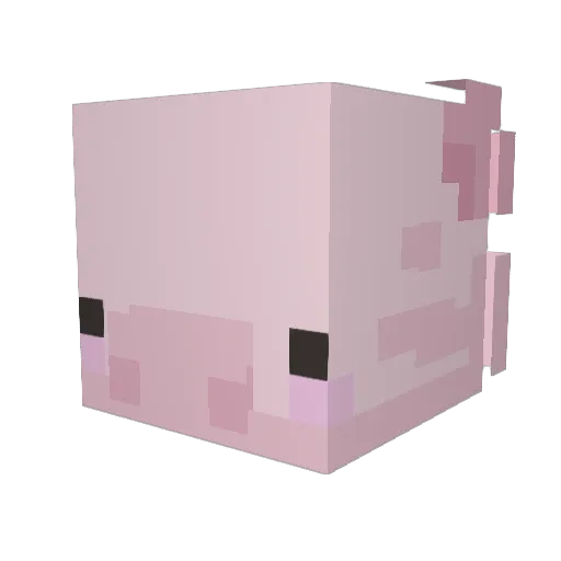 lauren_chira Minecraft avatar head, 3D render
