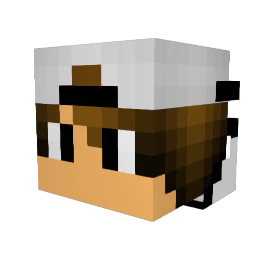 lauritskill21 Minecraft avatar head, 3D render