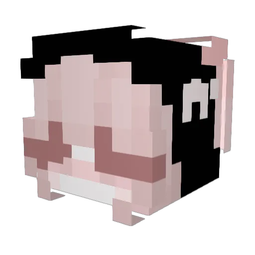 laurix60 Minecraft avatar head, 3D render
