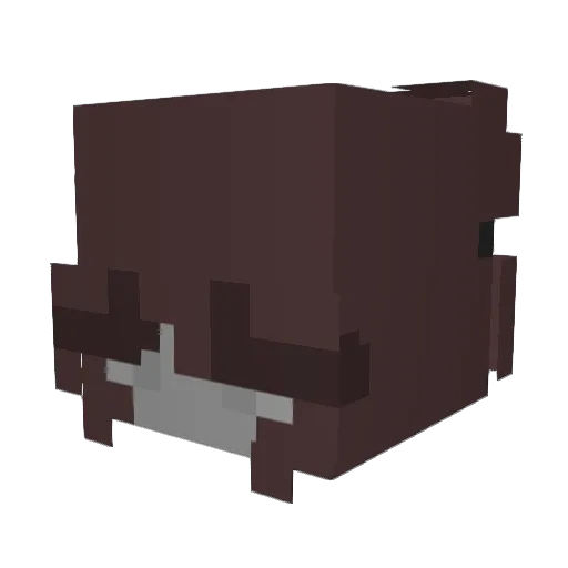laurxilla Minecraft avatar head, 3D render