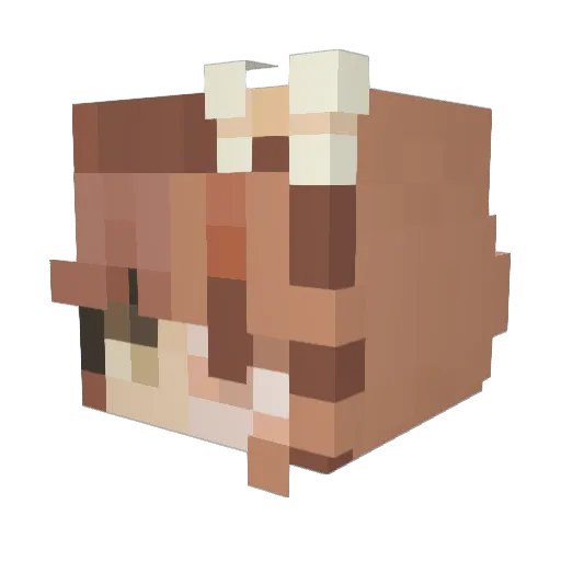 lauryn133 Minecraft avatar head, 3D render
