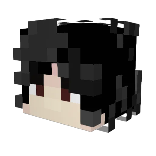 lautaro9025 Minecraft avatar head, 3D render