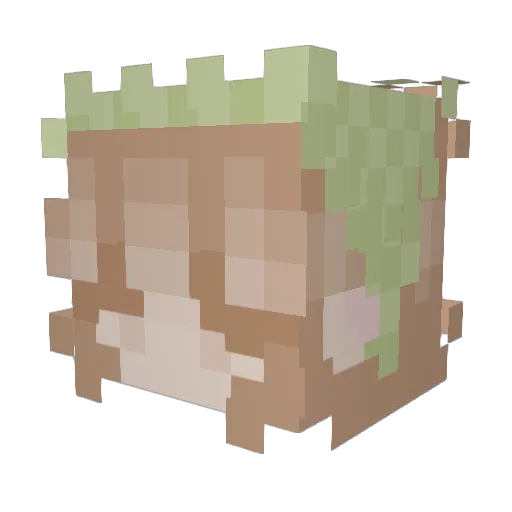 lauwarm666 Minecraft avatar head, 3D render