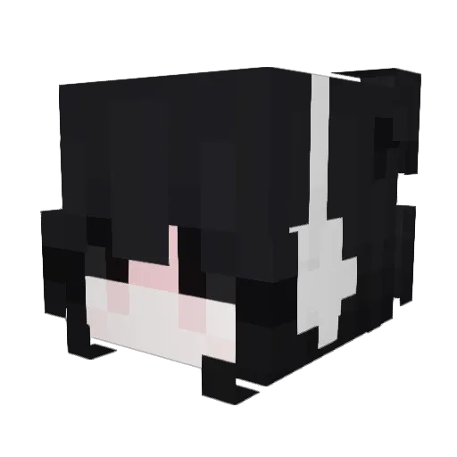lav_04 Minecraft avatar head, 3D render