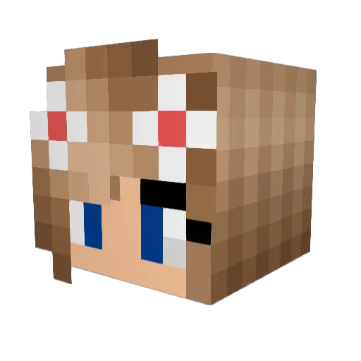 lavagirl666 Minecraft avatar head, 3D render