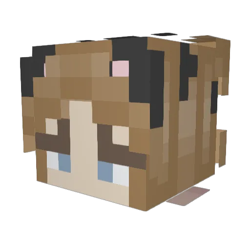 lavaheadq Minecraft avatar head, 3D render