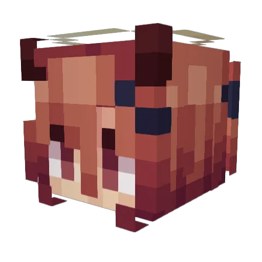 lavakz Minecraft avatar head, 3D render