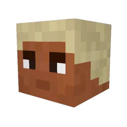 lavaman316 Minecraft avatar head, 3D render