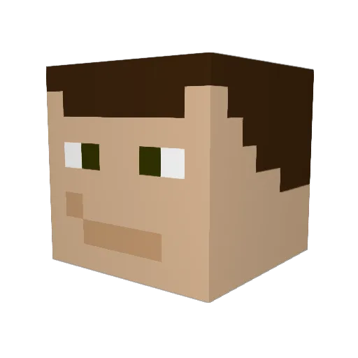 lavarider1 Minecraft avatar head, 3D render