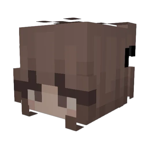 lavender10121 Minecraft avatar head, 3D render