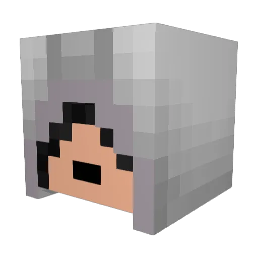 laviellpovert Minecraft avatar head, 3D render