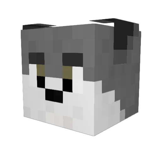 lavin117 Minecraft avatar head, 3D render