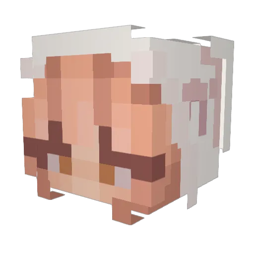lavishbbyryry Minecraft avatar head, 3D render