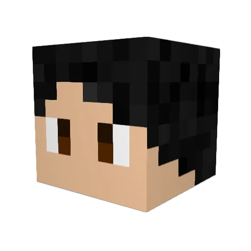 lavishradish69 Minecraft avatar head, 3D render