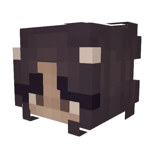 lavst Minecraft avatar head, 3D render