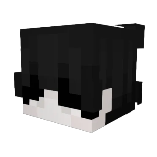 law1d Minecraft avatar head, 3D render