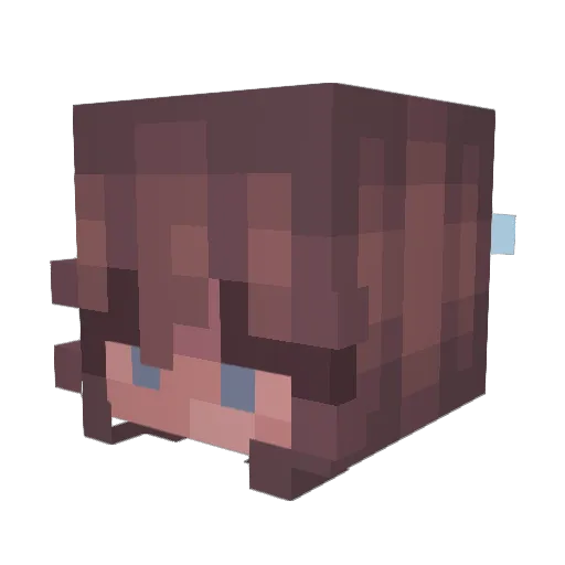 lawfulmeteor Minecraft avatar head, 3D render