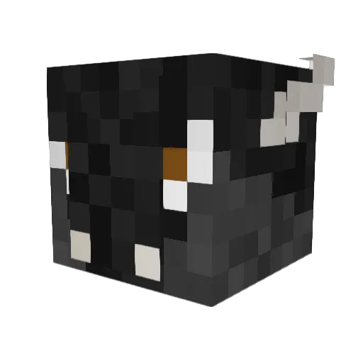 lawik48 Minecraft avatar head, 3D render