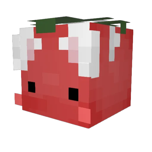 lawlessprincess Minecraft avatar head, 3D render