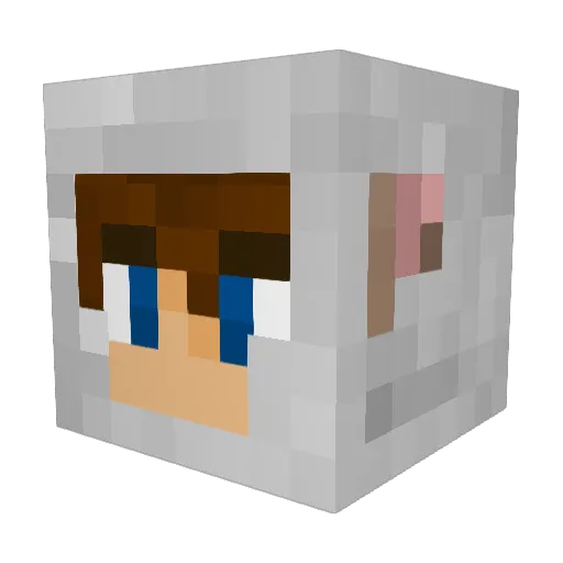 lawlz_TH Minecraft avatar head, 3D render