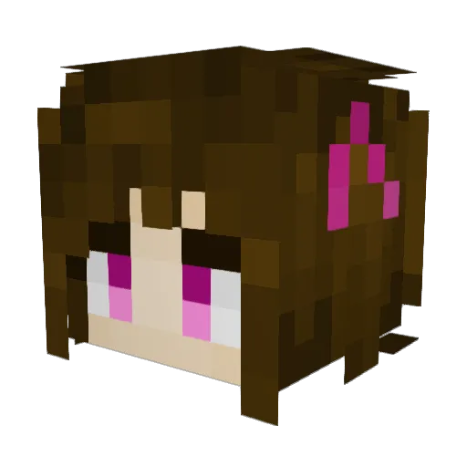 laws16 Minecraft avatar head, 3D render