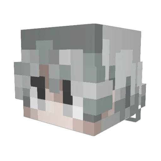 lawsobi Minecraft avatar head, 3D render