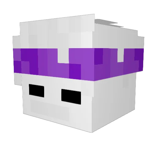 laxbro214 Minecraft avatar head, 3D render