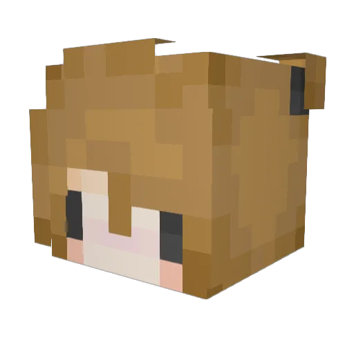 laylxmm8 Minecraft avatar head, 3D render