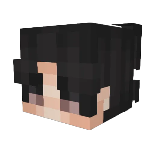 laysox_ Minecraft avatar head, 3D render