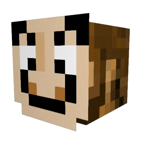 lazy__Llama Minecraft avatar head, 3D render