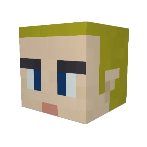 lazycat222 Minecraft avatar head, 3D render