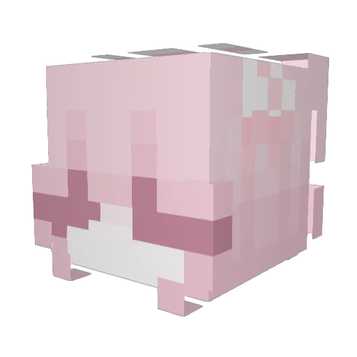 lazycatg Minecraft avatar head, 3D render