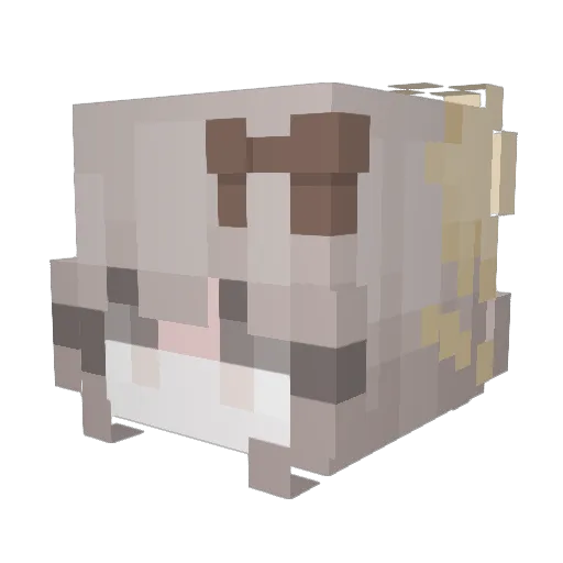 lazycatgirl Minecraft avatar head, 3D render