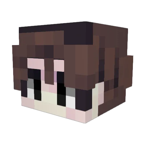 lazycati Minecraft avatar head, 3D render
