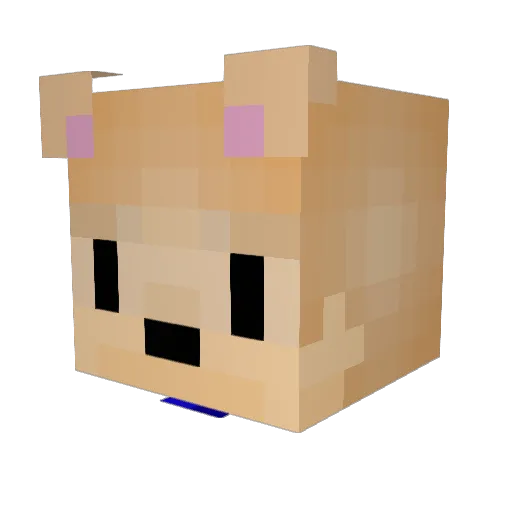 lazydog2 Minecraft avatar head, 3D render