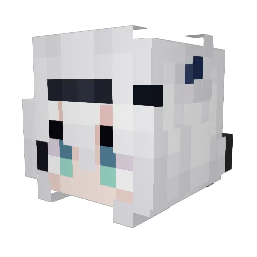 lazydolphin56 Minecraft avatar head, 3D render