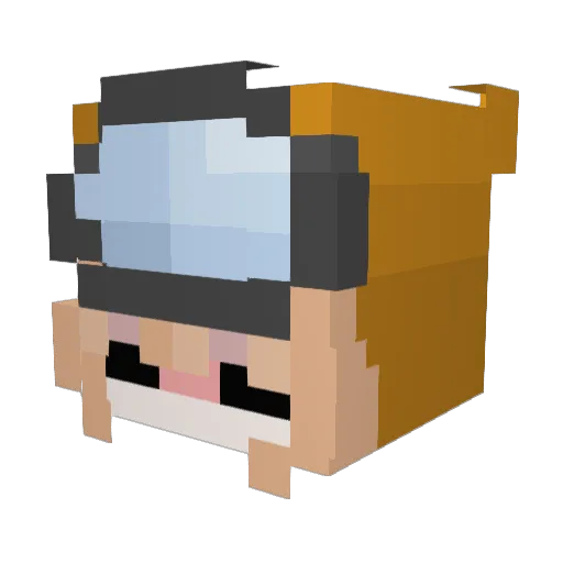 lazypotat0 Minecraft avatar head, 3D render