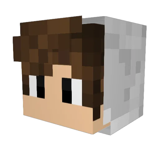 lba7530 Minecraft avatar head, 3D render
