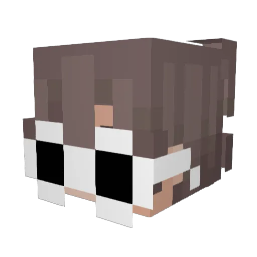 lbxxxxxx Minecraft avatar head, 3D render