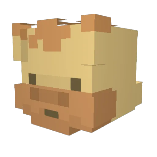 lbyw Minecraft avatar head, 3D render